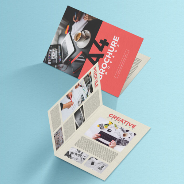 brochure to promote business