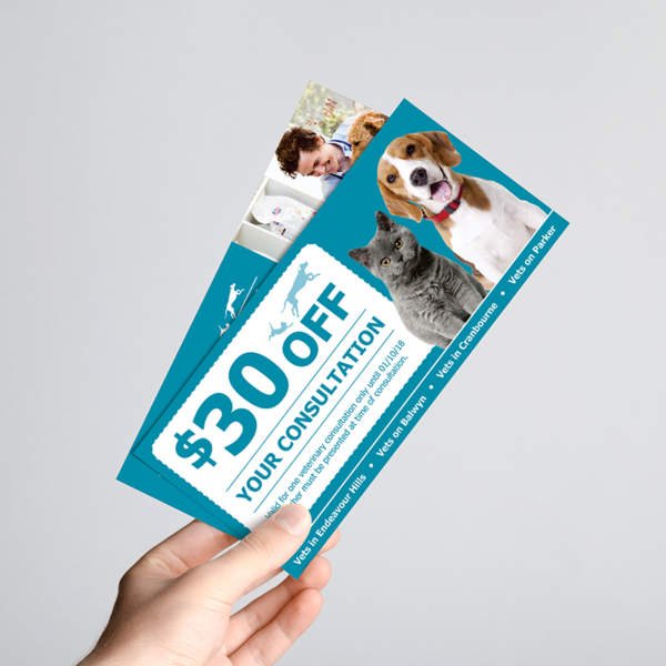 A person holding DL flyers with $30 off voucher printed